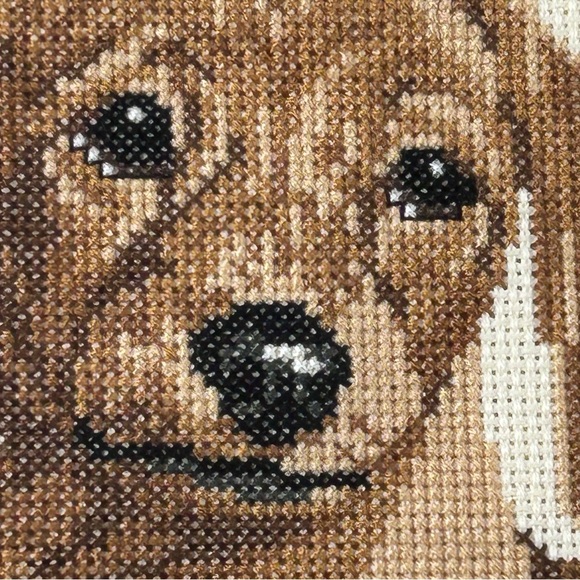 Dachshund Datsun Best loved dog finished framed Cross-Stitch Wall Art weenie dog - Picture 4 of 16